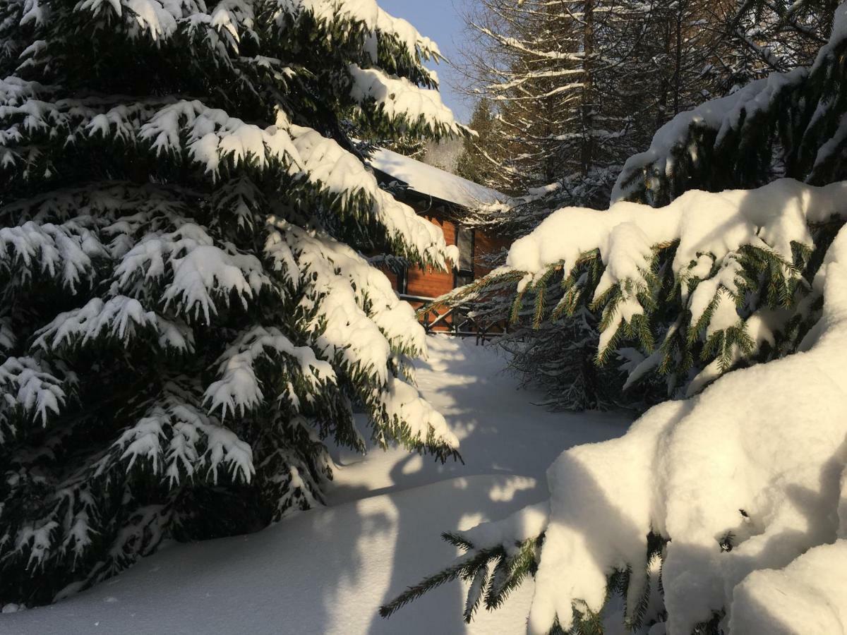 Chalet Rackova Dolina Прібиліна Екстер'єр фото